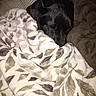 Mozzyy joined the competition — help win amazing prizes! dog, black_dog, blanket, leaf_pattern, sleeping, cozy, pillow, indoor, pet, resting, fur, comfort, warm, animal, snuggle, relaxation, soft_texture, couch, domestic, nap