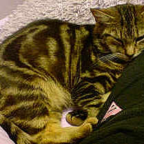 Millie is registered to the contest to win money with this photo: