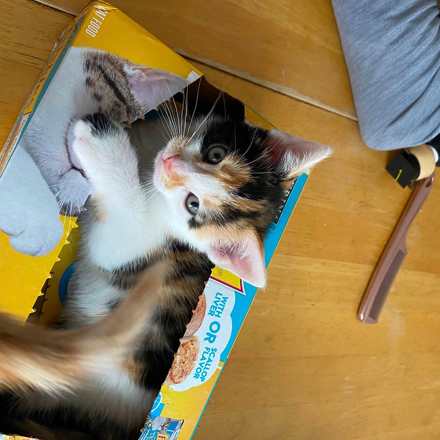 Luna