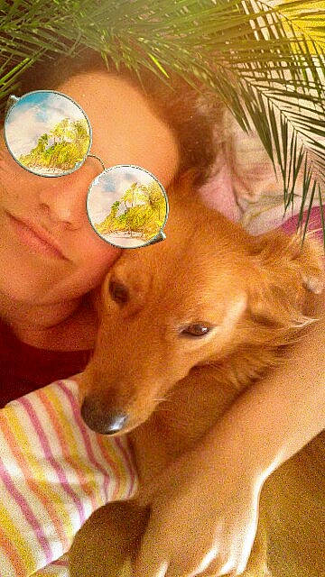 Shanna participe au concours pour gagner de l'argent avec cette photo : canidae, carnivore, companion_dog, dog, dog_breed, ear, fawn, fun, nose, skin