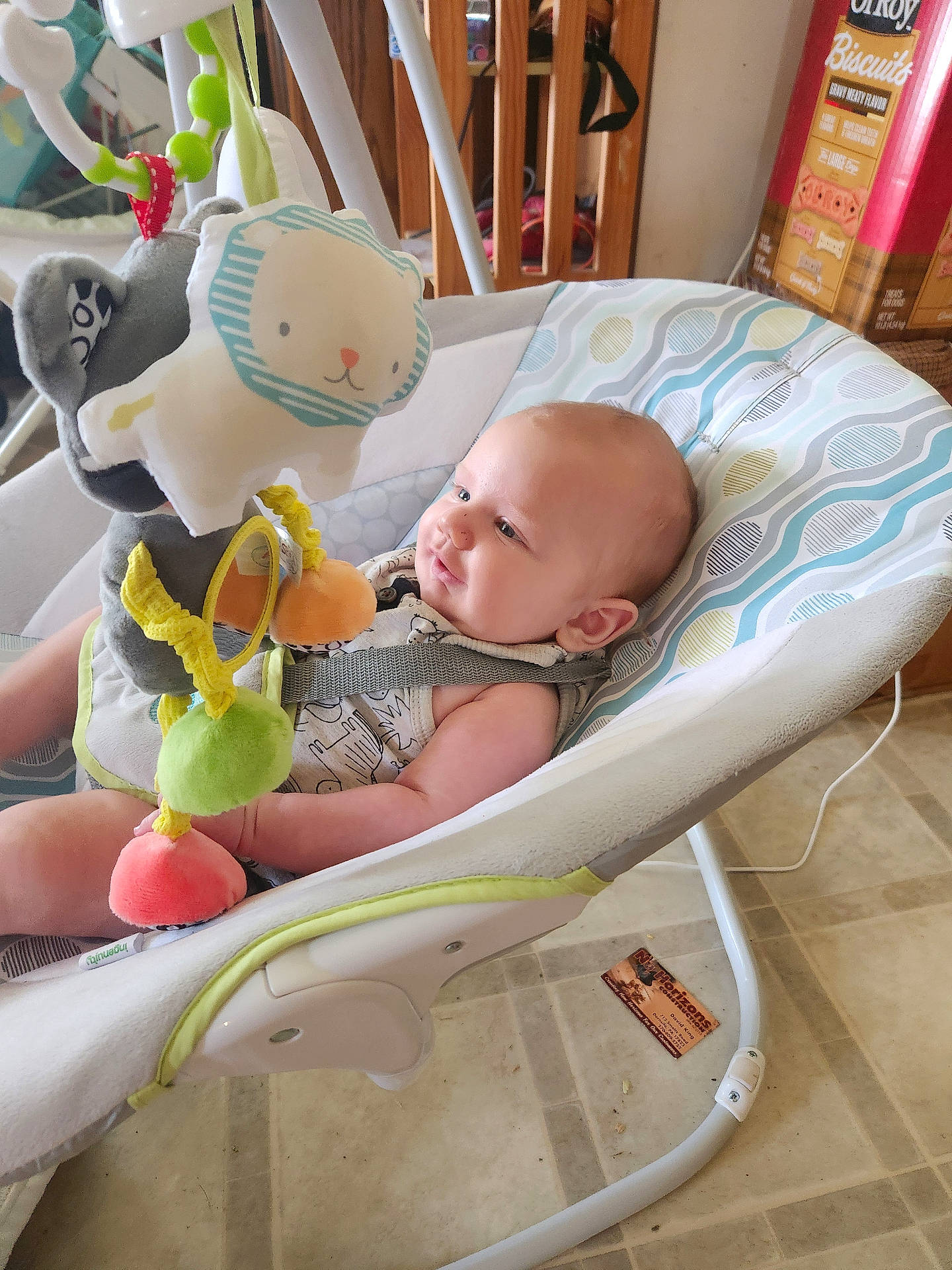 Owen is registered to the contest to win money with this photo: baby, bed, clothing, cradle, crib, cushion, face, furniture, hat, head, homedecor, indoors, infantbed, newborn, nursery, person, photography, plush, portrait, toy