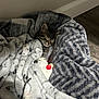 kitten, sleeping, blanket, plush_toy, cozy, indoor, soft_texture, floor, pet, cute, feline, resting, comfort, home, animal, small, fur, toy, patterned_blanket, relaxation