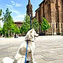 accessories, animal, architecture, building, canine, cathedral, church, city, dog, neighborhood, outdoors, path, pet, plant, road, shelter, strap, street, tree, urban