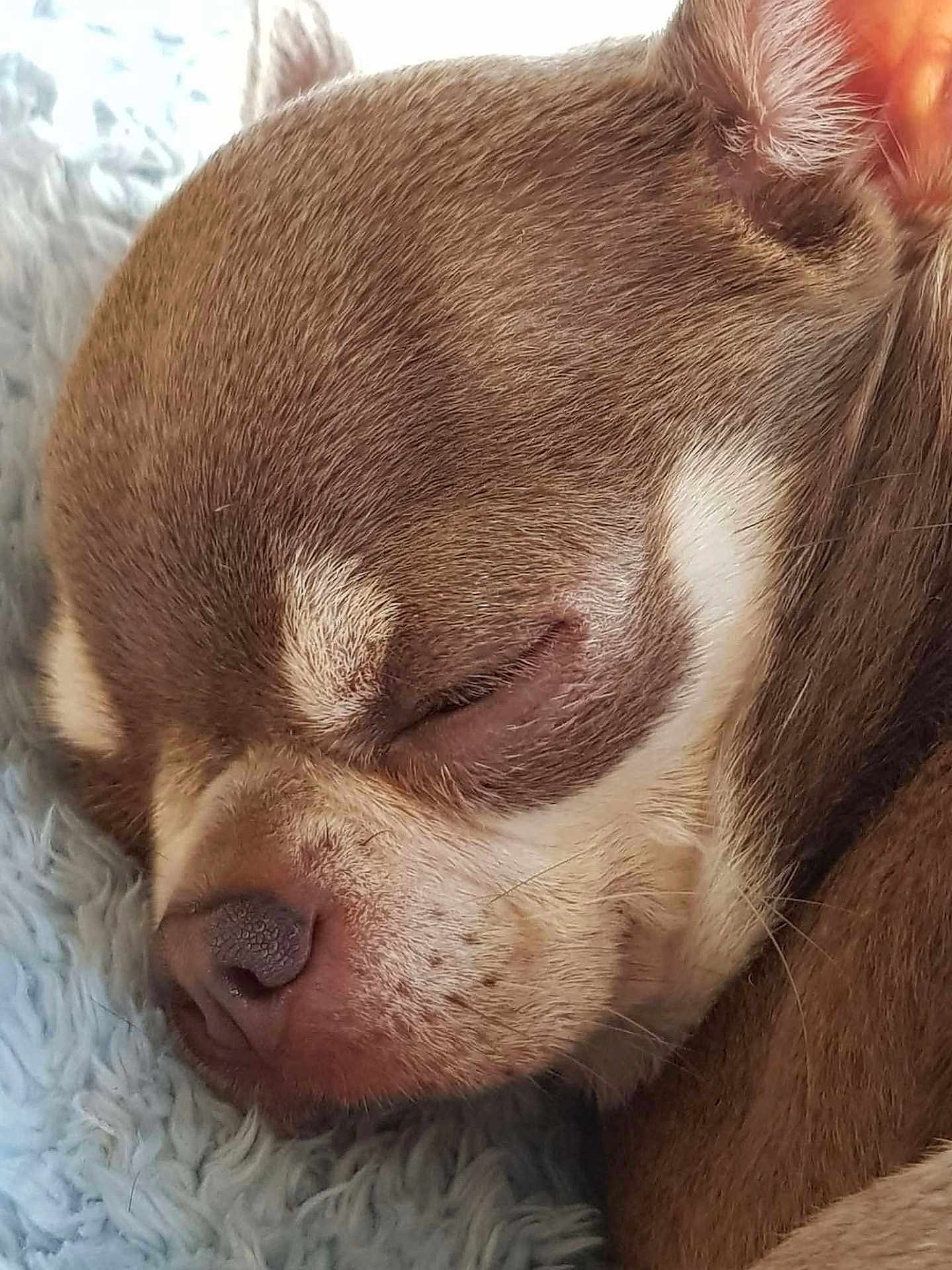 Minnie