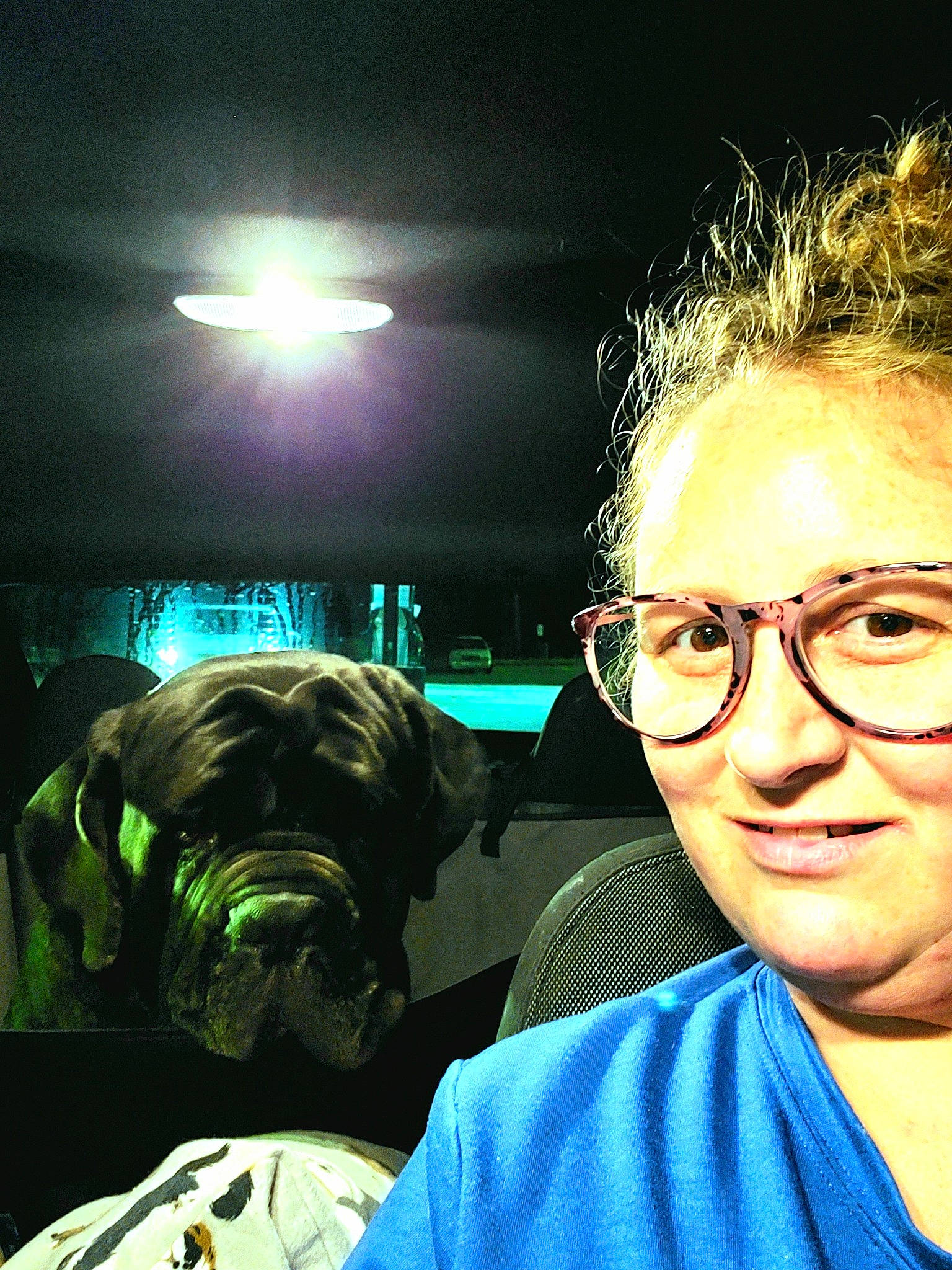 Marcus is registered to the contest to win money with this photo: bullmastiff, canidae, carnivore, companion_dog, cool, dog, dog_breed, eye_glass_accessory, eyewear, glasses, lens_flare, mammal, portrait_photography, selfie, sporting_group, t_shirt, vision_care, working_animal, working_dog, wrinkle