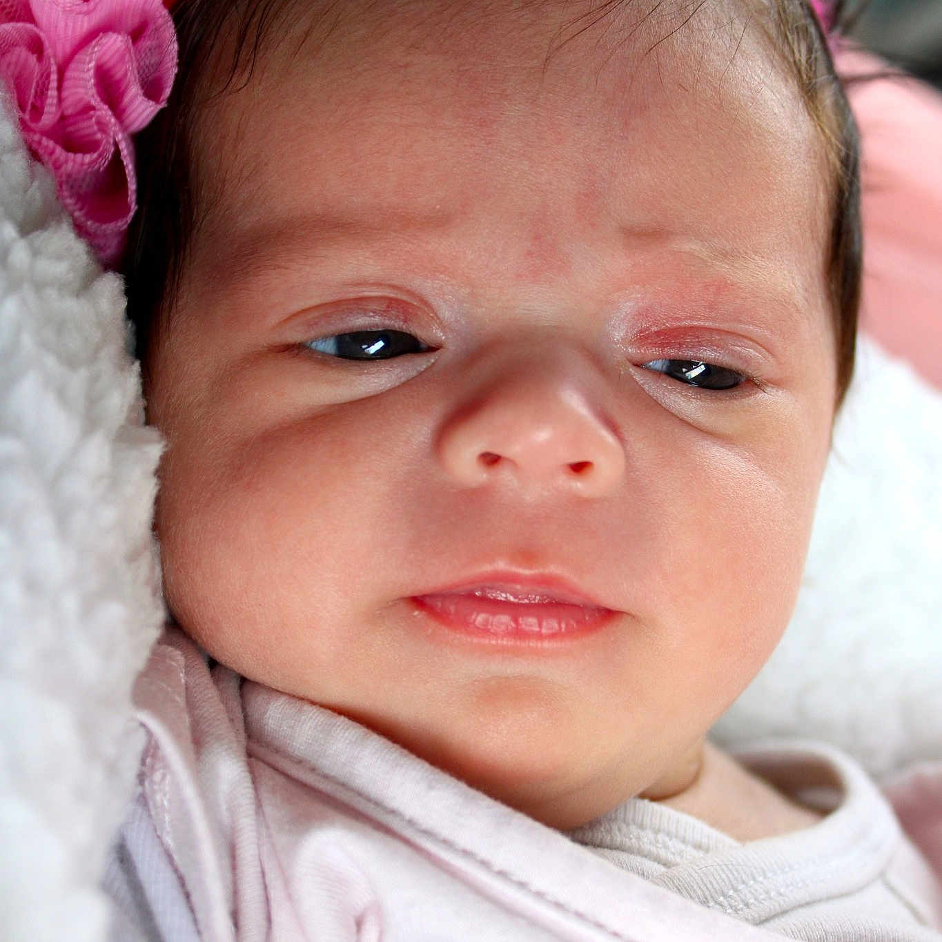 Clara participe au concours pour gagner de l'argent avec cette photo : cheek, chin, eye, eyebrow, eyelash, face, facial_expression, hairstyle, human, iris, lip, mouth, nose, organ, photograph, product, skin, sleeve, textile, white