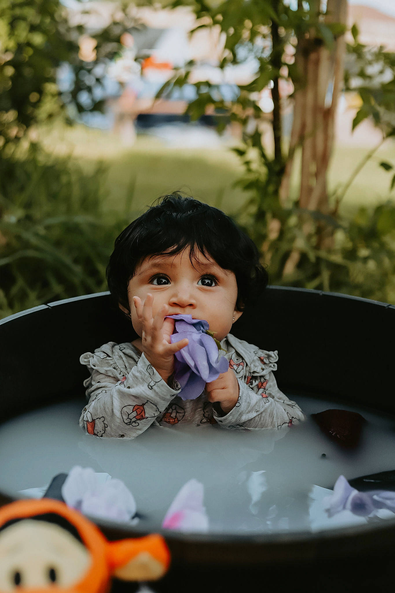 Madison joined the competition — help win amazing prizes! baby, child, facial_expression, fun, grass, happy, head, leisure, lip, mouth, person, plant, play, recreation, sitting, skin, sweetness, table, tableware, toddler