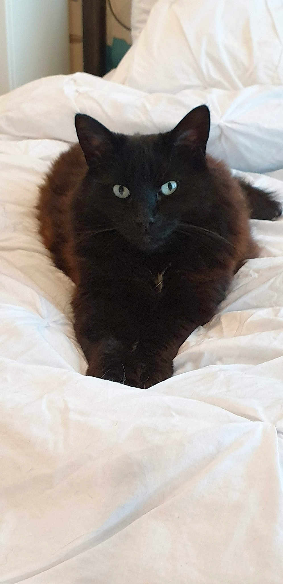 Salem