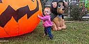 Sophia is registered to the contest to win money with this photo: boots, child, costume, cute, decorations, dog, festive, grass, halloween, holiday, house, inflatable, leggings, outdoor, pink_sweater, plants, playful, pumpkin, toddler, yard