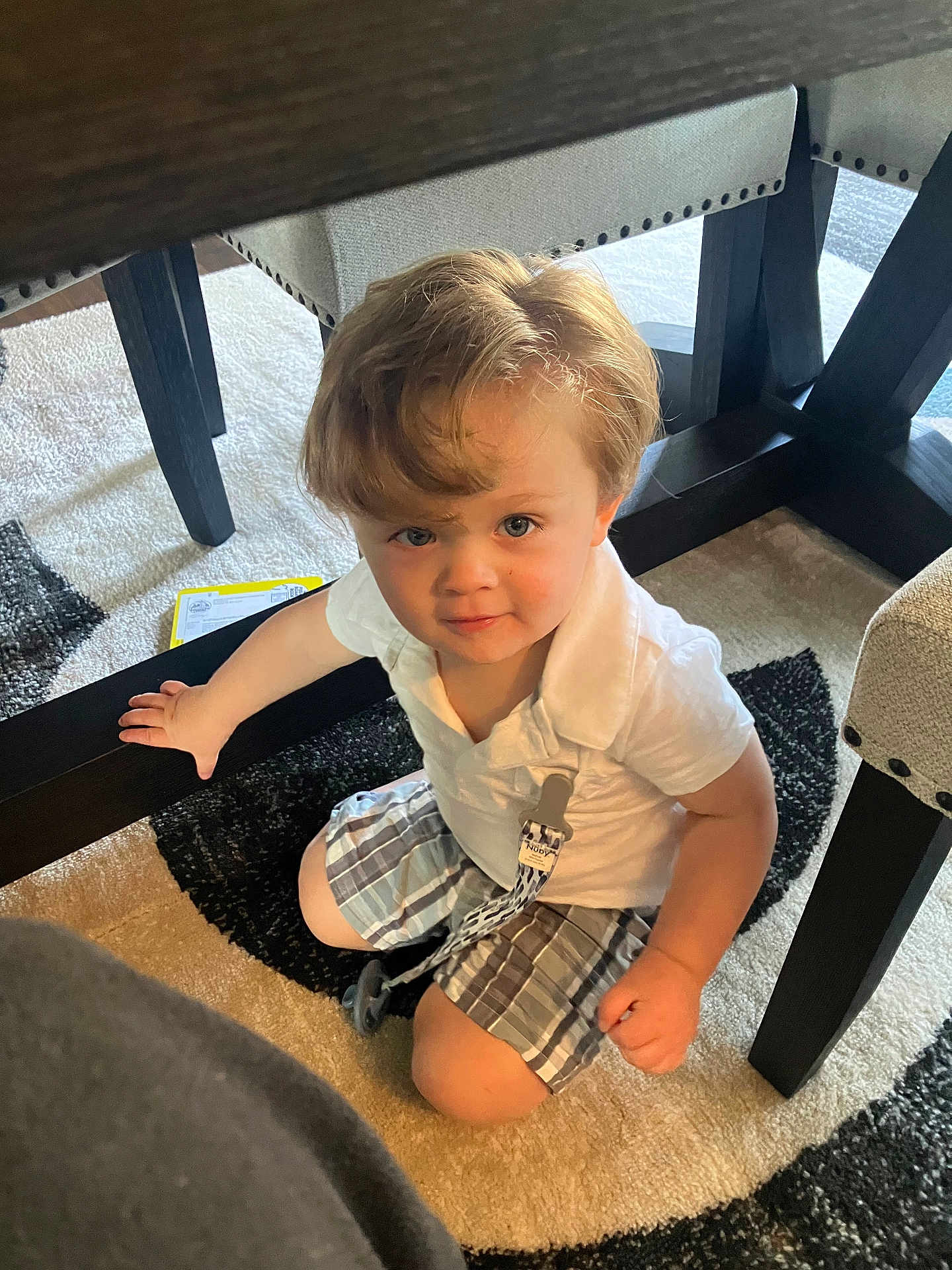 Nicolai