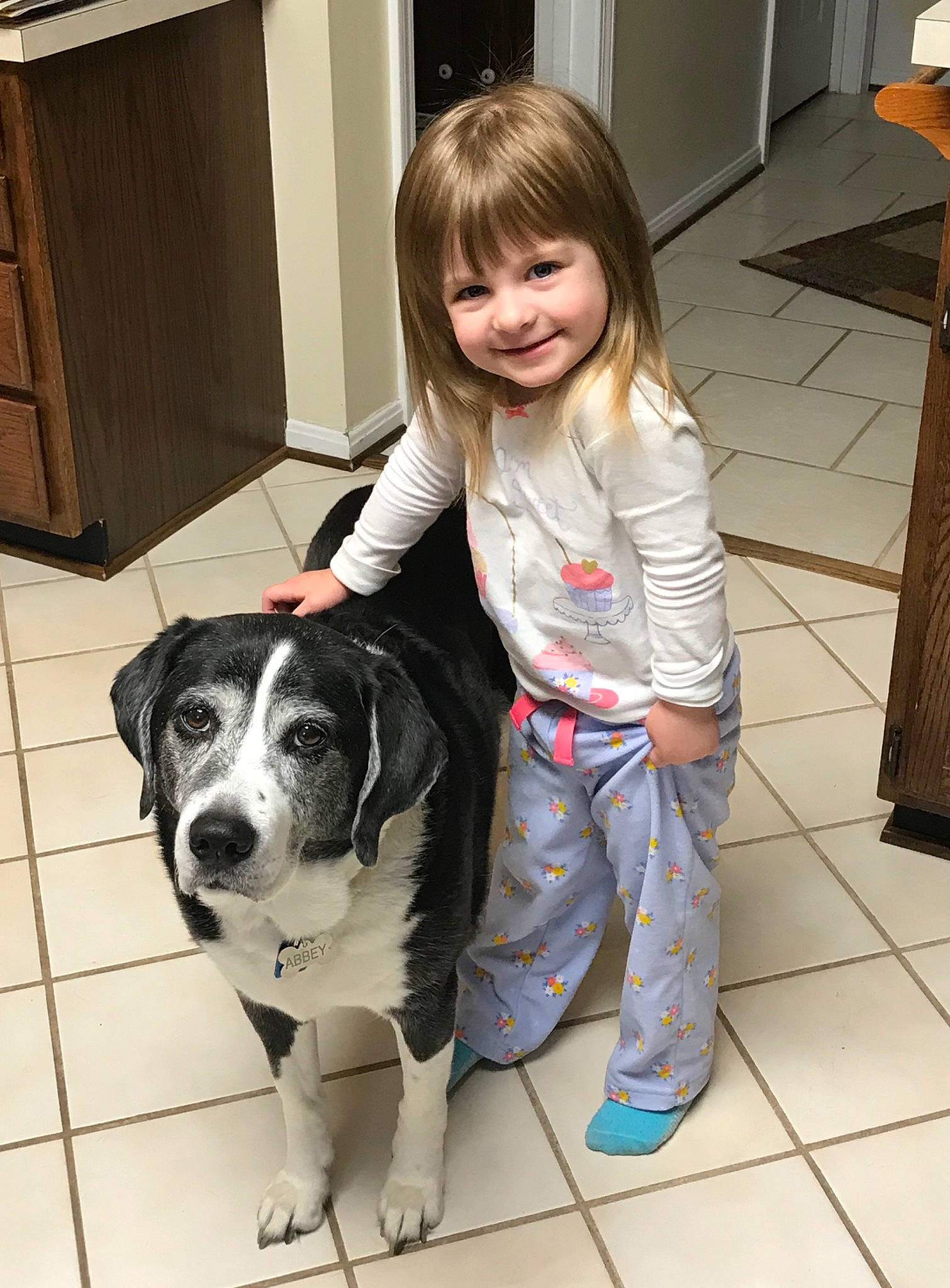 Jossalyn is registered to the contest to win money with this photo: canidae, carnivore, child, companion_dog, dog, dog_breed, joy, mammal, person, puppy_love, snout, sporting_group