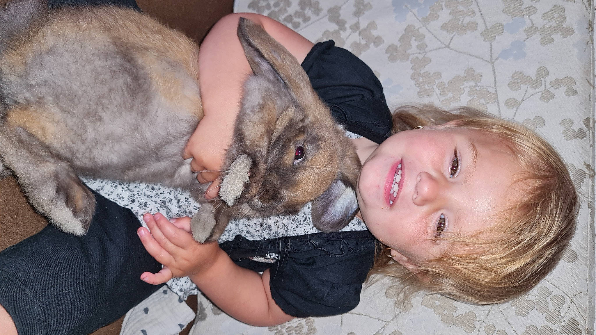 Alya participe au concours pour gagner de l'argent avec cette photo : child, dog_breed, domestic_rabbit, ear, fawn, felidae, fur, happy, hare, marsupial, person, rabbit, rabbits_and_hares, rodent, skin, smile, vertebrate, wallaby, whiskers, wildlife