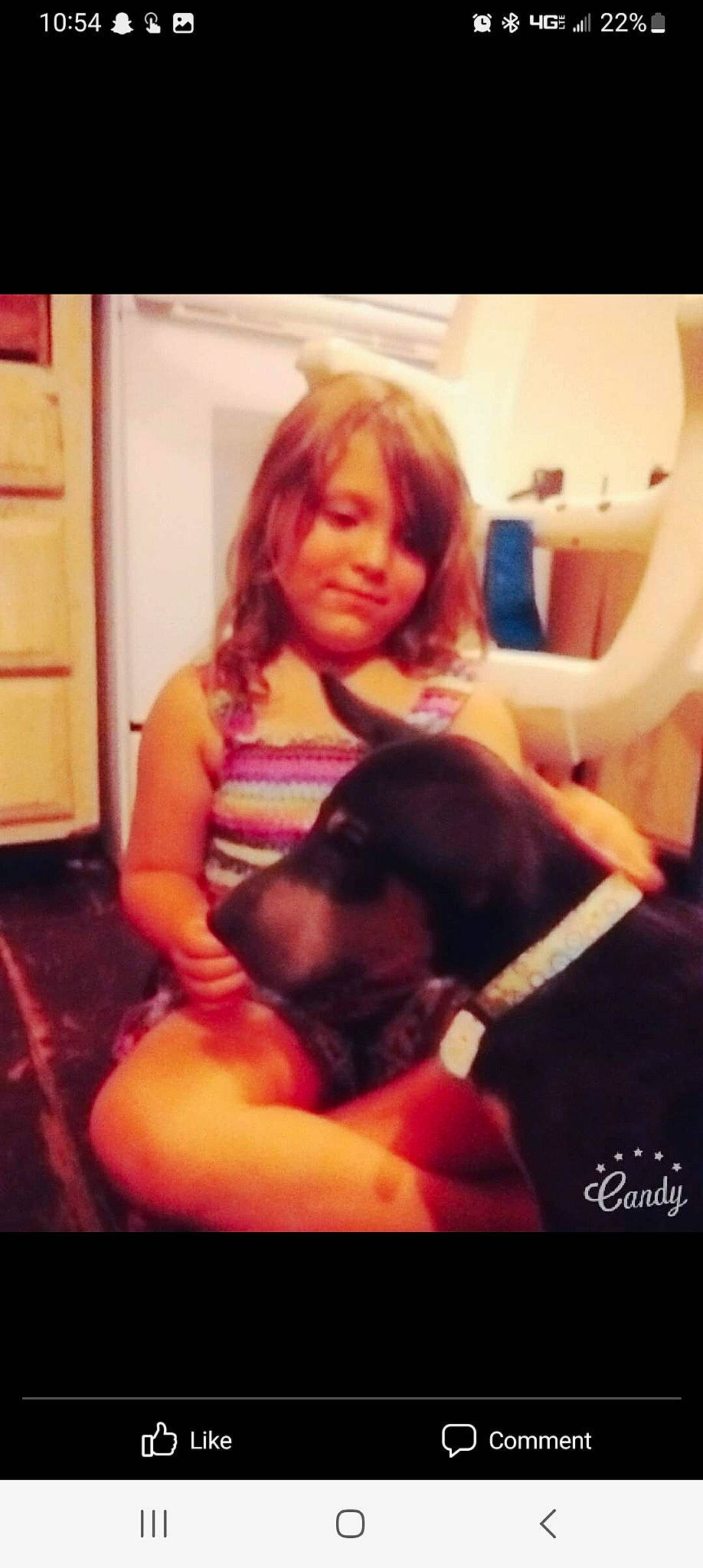 Sarah is registered to the contest to win money with this photo: abdomen, canidae, carnivore, chair, comfort, companion_dog, dog, dog_breed, ear, fun, fur, gesture, happy, human_leg, joy, person, photo_caption, selfie, sitting, sporting_group