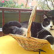 REGLISSE participe au concours pour gagner de l'argent avec cette photo :