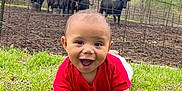 Kayden joined the competition — help win amazing prizes! baby, child, grass, red_shirt, crawling, outdoor, fence, cows, pasture, nature, greenery, smiling, happy, cute, animal, farm, daylight, field, person, young