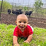 baby, child, grass, red_shirt, crawling, outdoor, fence, cows, pasture, nature, greenery, smiling, happy, cute, animal, farm, daylight, field, person, young