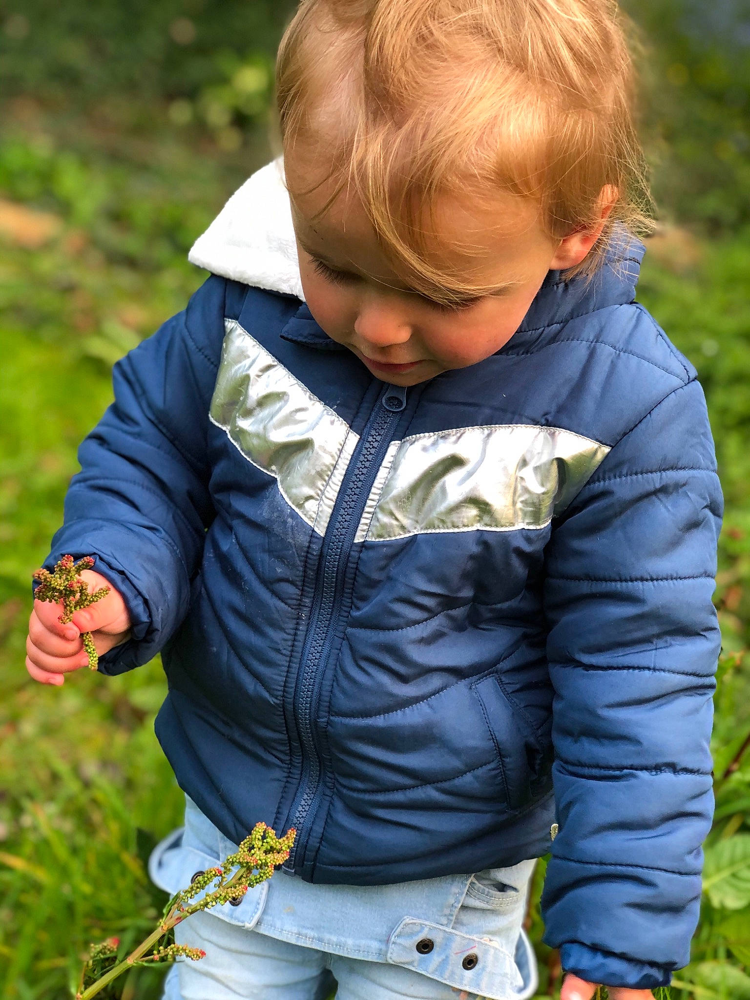 Kiliana participe au concours pour gagner de l'argent avec cette photo : baby, baby_toddler_clothing, child, clothing, face, grass, grass_family, grassland, hand, happy, human_body, iris, meadow, outerwear, people_in_nature, person, plant, sleeve, toddler, tree