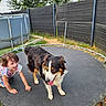 child, girl, dog, bernese_mountain_dog, pet, trampoline, backyard, outdoor, pool, fence, trees, grass, playful, smiling, tongue_out, fluffy, black_white_brown, sitting, summer, family