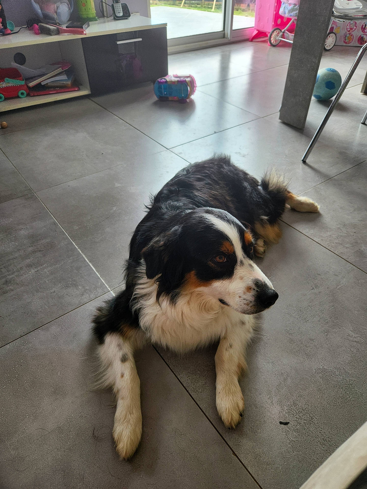 Maya