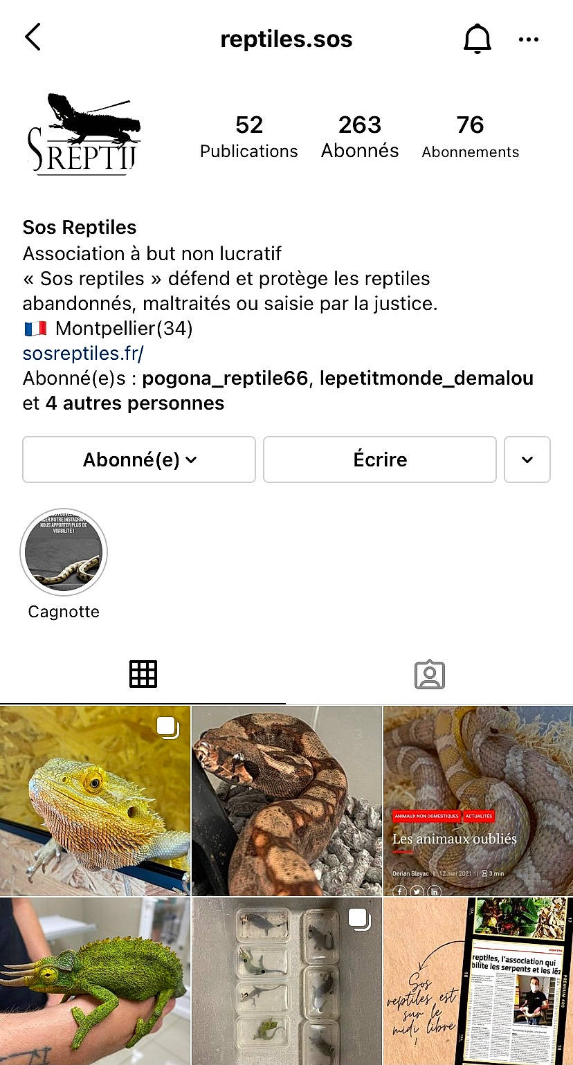 Cachou a rejoint le concours — aidez-le/la à gagner de superbes lots ! advertising, cuisine, font, happy, landscape, mammal, organism, recipe, rock, screenshot, soil, terrestrial_animal, terrestrial_plant, vegetable, vertebrate, web_page, wildlife