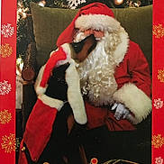 Breezy joined the competition — help win amazing prizes! animal, beard, celebration, chair, christmas, costume, decorations, dog, festive, fur, holiday, kiss, pet, portrait, red_clothing, santa_claus, smiling, snowflake, tree, warm_lighting