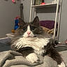 Kiwi is registered to the contest to win money with this photo: