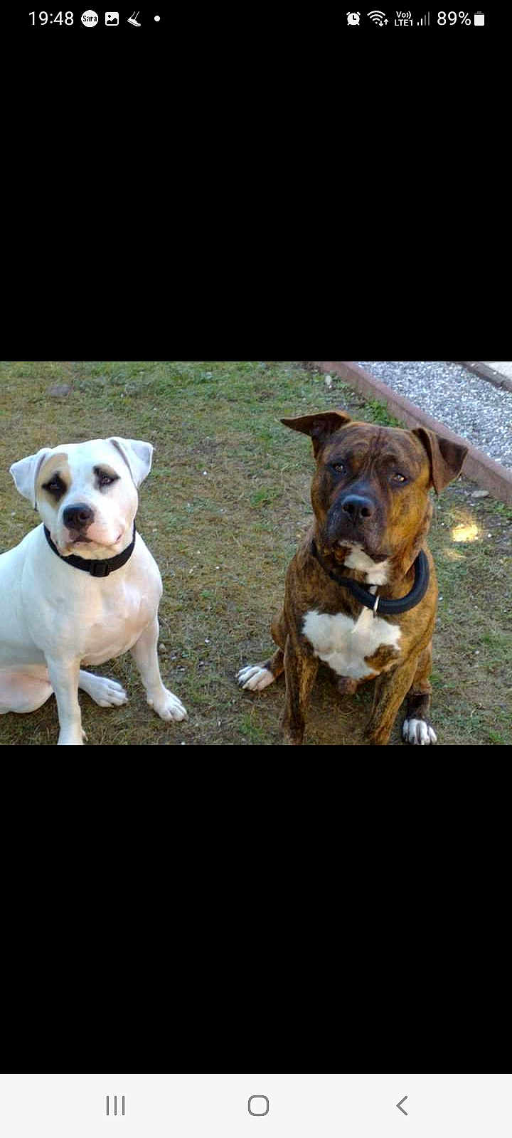 Tayson Et Athila