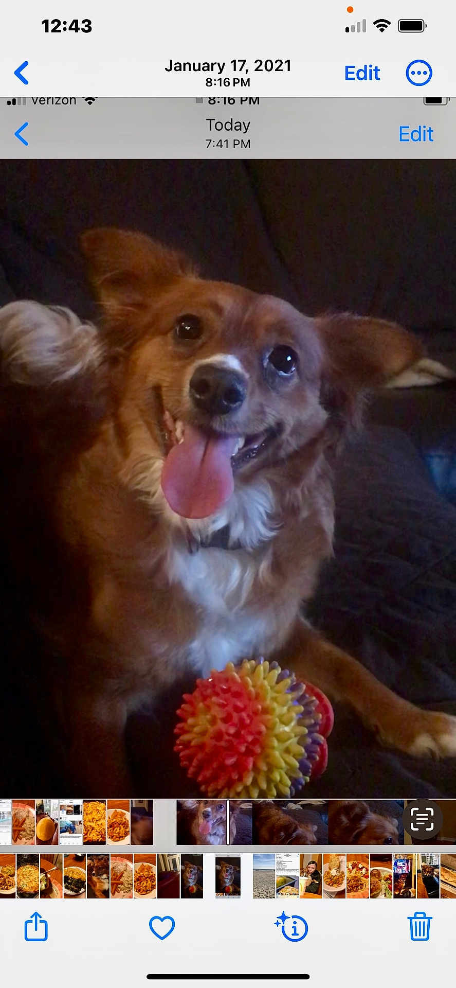 Blizzie is registered to the contest to win money with this photo: dog, pet, toy, ball, tongue_out, happy, smiling, brown_fur, white_chest, ears_up, indoor, couch, playful, animal, canine, close_up, cute, friendly, companion, domestic