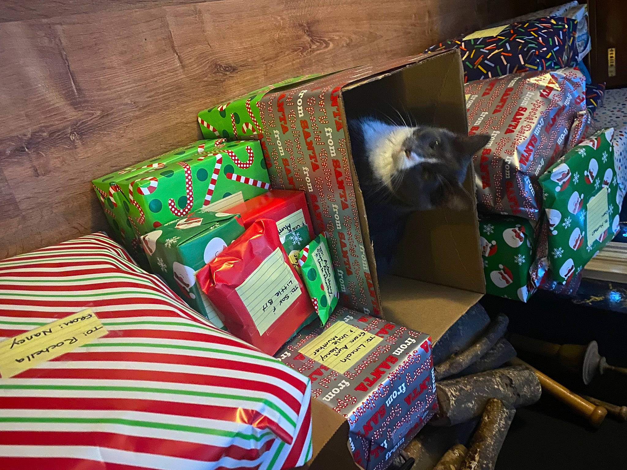 Sox is registered to the contest to win money with this photo: art, basket, carnivore, cat, event, felidae, fur, gift_wrapping, holiday, home_accessories, linens, pattern, present, publication, room, small_to_medium_sized_cats, throw_pillow, visual_arts, whiskers, wood