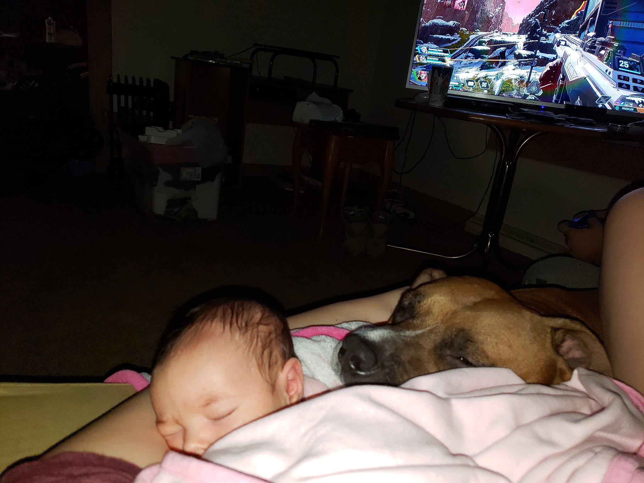 Evalynn joined the competition — help win amazing prizes! bedtime, birth, canidae, child, comfort, companion_dog, ear, electronic_device, fawn, lap, nap, person, room, sleep, technology, toddler