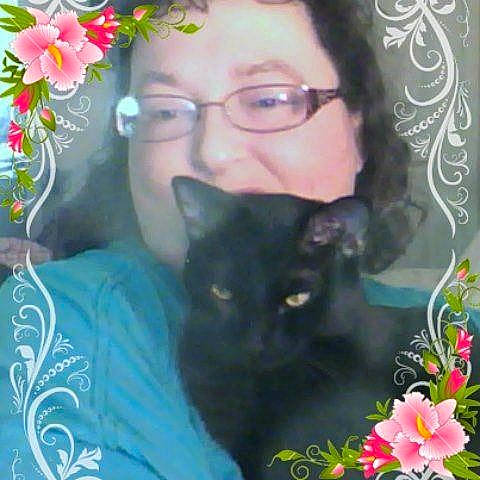 Yogi Bear is registered to the contest to win money with this photo: asian, black_cat, bombay, carnivore, cat, domestic_short_haired_cat, felidae, flower, plant, small_to_medium_sized_cats, whiskers