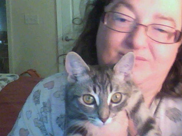 Boo-boo is registered to the contest to win money with this photo: asian, carnivore, cat, domestic_short_haired_cat, dragon_li, ear, european_shorthair, eye, face, felidae, forehead, head, iris, mammal, nose, skin, small_to_medium_sized_cats, snapshot, tabby_cat, whiskers