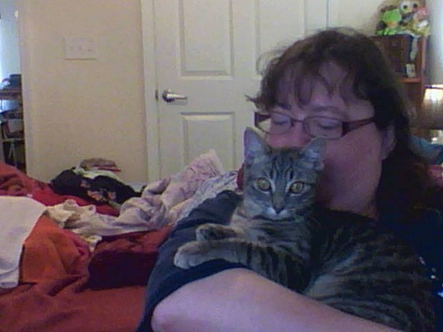 Boo-boo is registered to the contest to win money with this photo: american_curl, american_shorthair, asian, carnivore, cat, domestic_short_haired_cat, dragon_li, ear, egyptian_mau, european_shorthair, felidae, fur, kitten, lap, pixie_bob, sitting, small_to_medium_sized_cats, tabby_cat, whiskers