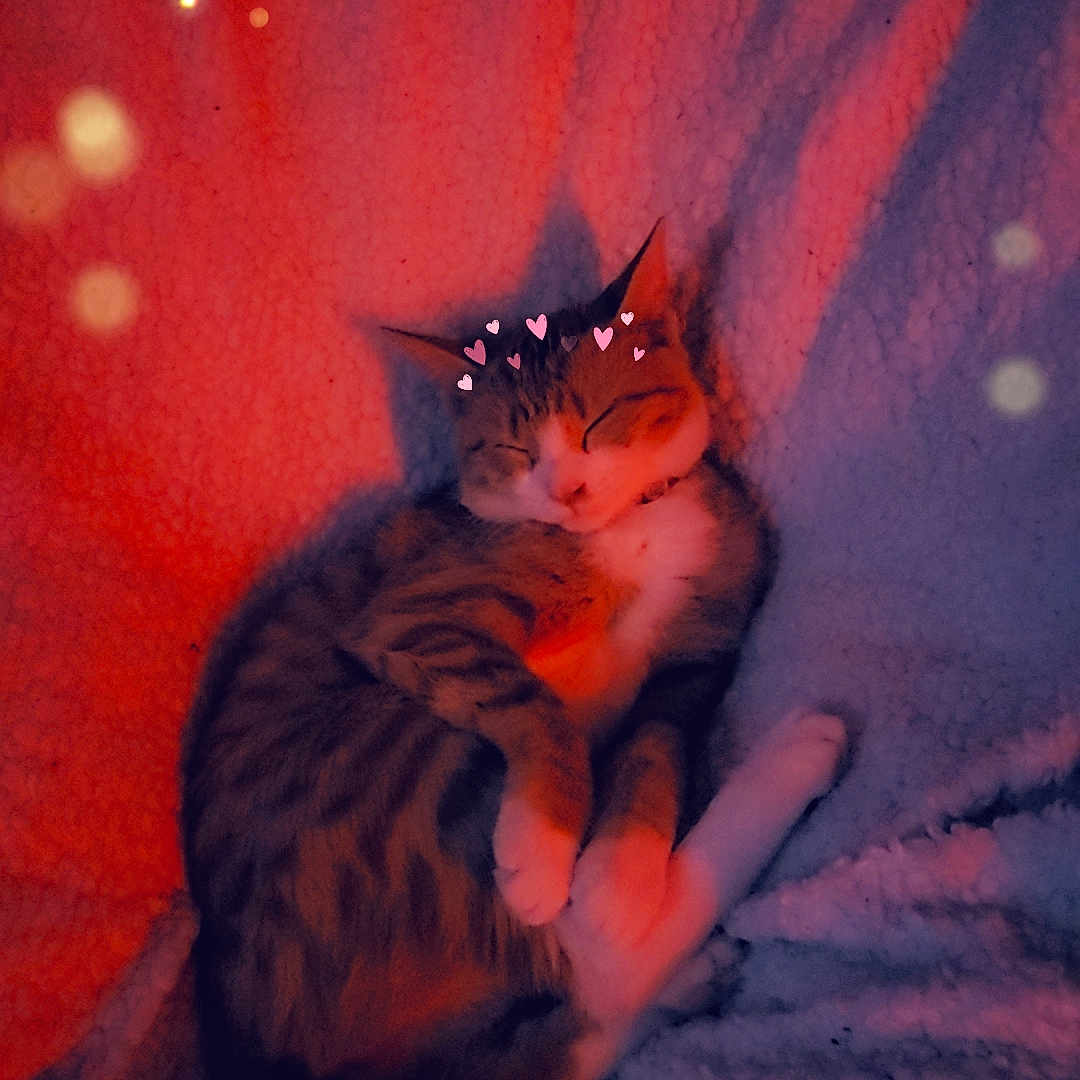 Nala