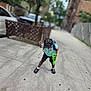 child, toy, green_toy, sidewalk, urban, braided_hair, backpack, shorts, tshirt, crocs, tree, car, concrete, street, fence, building, daylight, outdoor, person, playful
