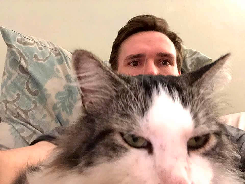 Francis joined the competition — help win amazing prizes! carnivore, cat, domestic_short_haired_cat, ear, european_shorthair, eye, face, felidae, fur, hair, head, kitten, mammal, nose, organ, selfie, skin, small_to_medium_sized_cats, snout, whiskers