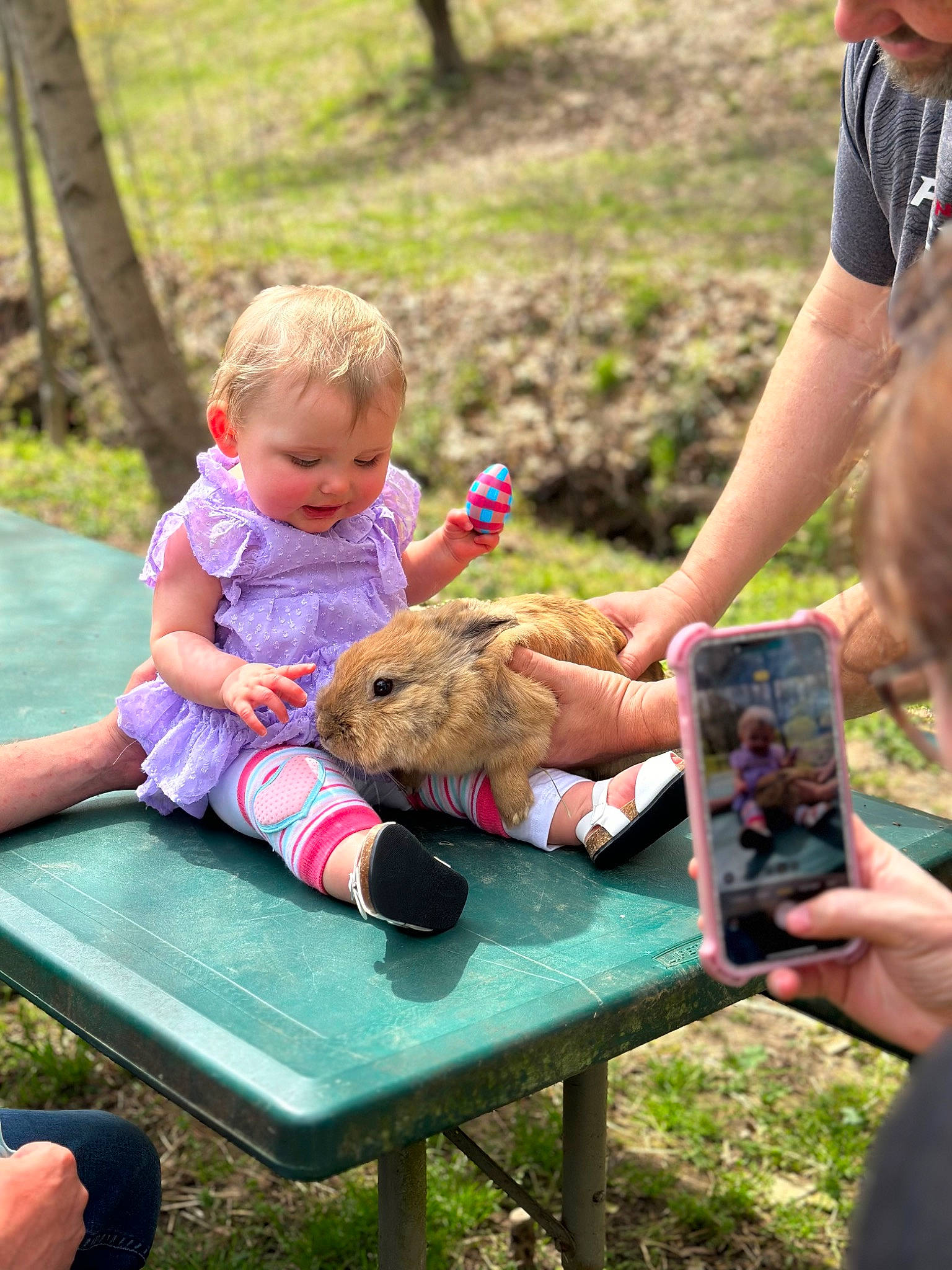 Emberlee joined the competition — help win amazing prizes! adaptation, botany, child, community, fun, grass, green, hand, happy, leisure, nature, outdoor_furniture, person, plant, recreation, sharing, shorts, summer, table, toddler