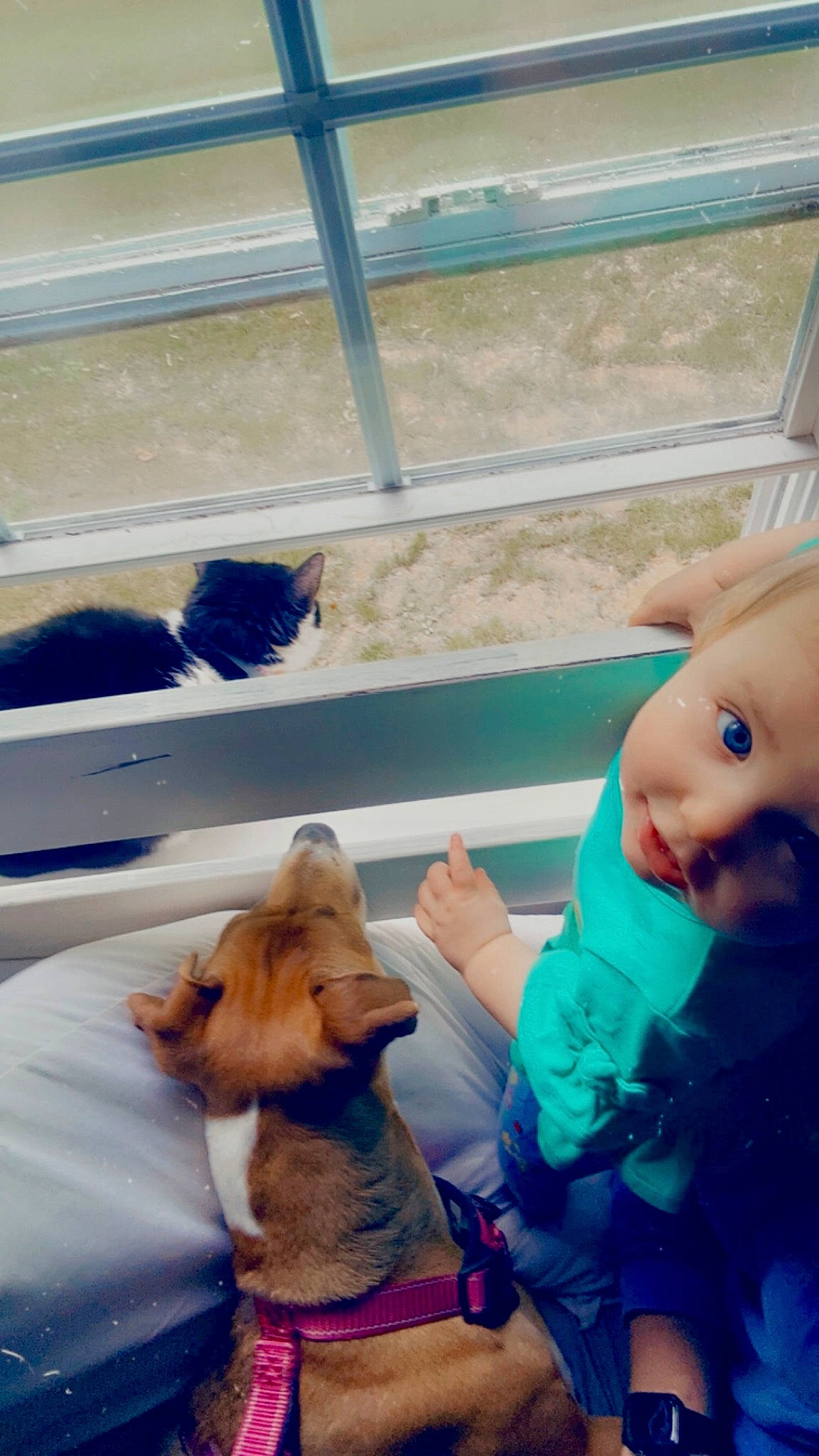 Emberlee is registered to the contest to win money with this photo: azure, baby, baby_toddler_clothing, canidae, carnivore, child, comfort, companion_dog, dog, dog_breed, fun, fur, happy, leisure, person, recreation, selfie, sitting, toddler, vacation