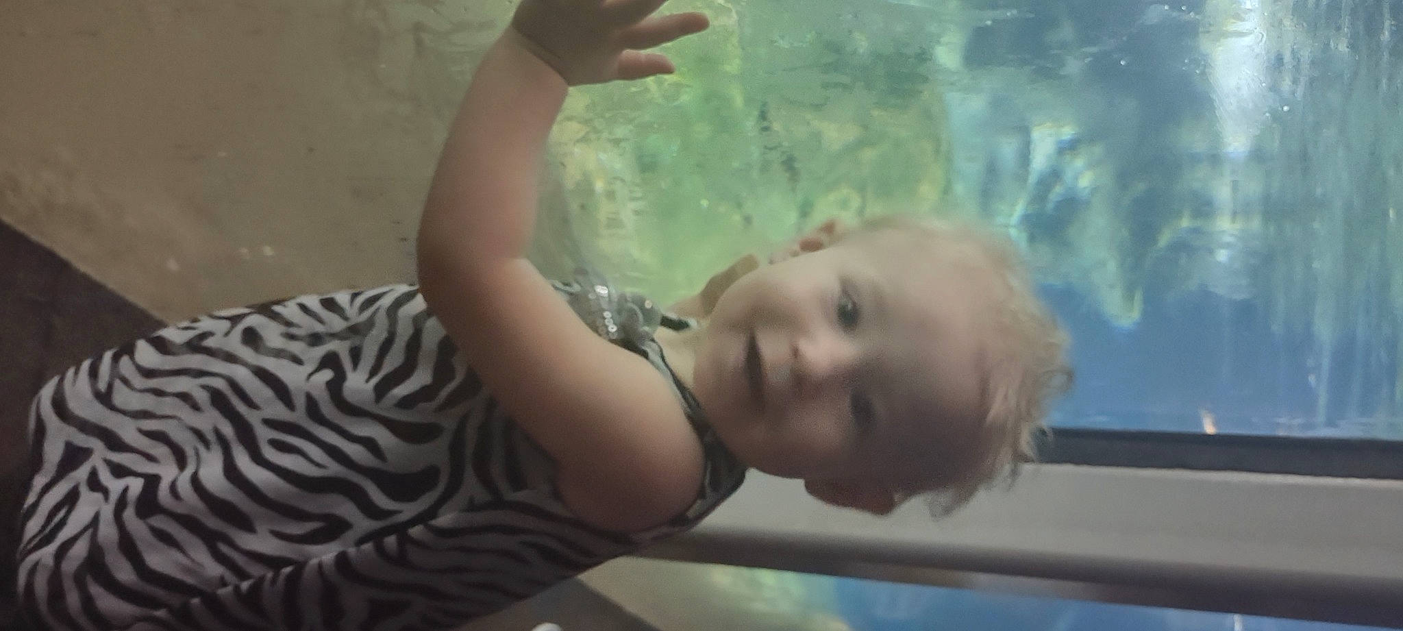 Remi is registered to the contest to win money with this photo: aquarium, baby, child, elbow, fun, gesture, glass, happy, joy, leisure, mouth, nose, organism, person, recreation, smile, toddler, tree, underwater, visual_arts