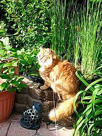 Sonny is registered to the contest to win money with this photo: