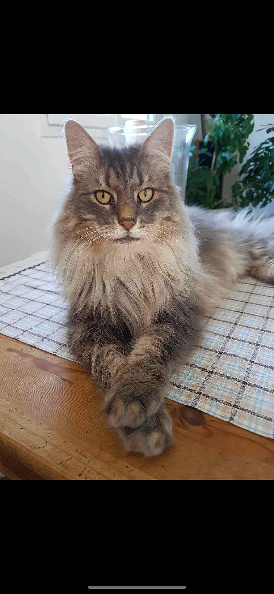 Eros