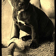J-lo participe au concours pour gagner de l'argent avec cette photo :