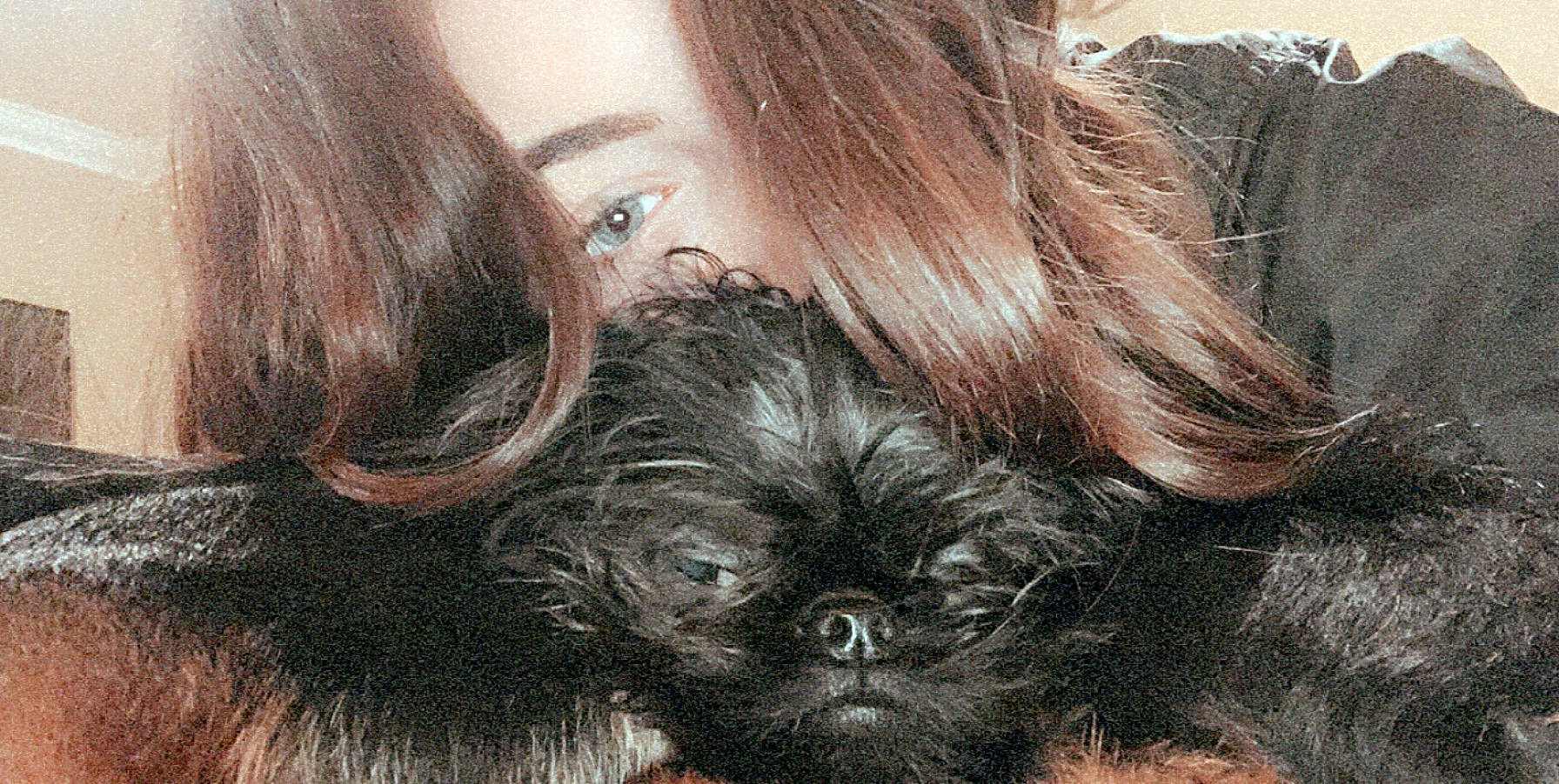 Zeze is registered to the contest to win money with this photo: affenpinscher, bolonka, canidae, carnivore, chinese_imperial_dog, companion_dog, dog, dog_breed, fur, hair, hairstyle, human, interaction, liver, long_hair, non_sporting_group, puppy, puppy_love, schnoodle, shih_tzu