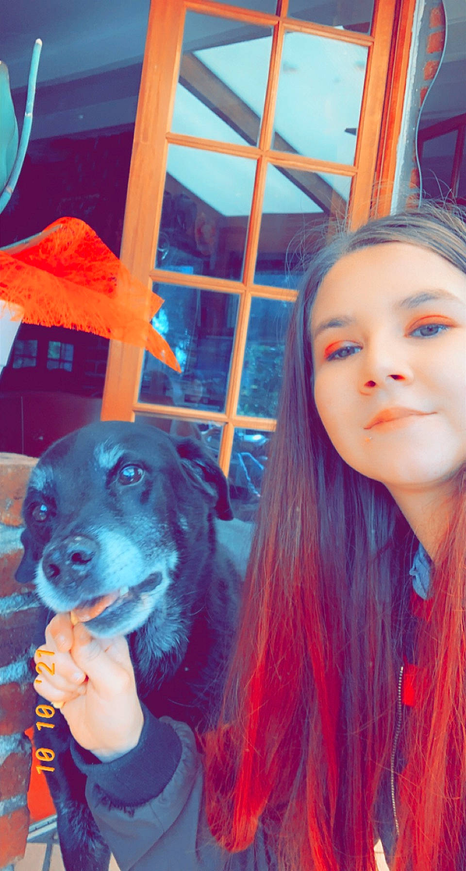 Dixou a rejoint le concours — aidez-le/la à gagner de superbes lots ! blue, carnivore, companion_dog, cool, dog, dog_breed, electric_blue, eyelash, happy, jaw, leisure, long_hair, magenta, mouth, orange, pink, red, snout, sporting_group, street_fashion