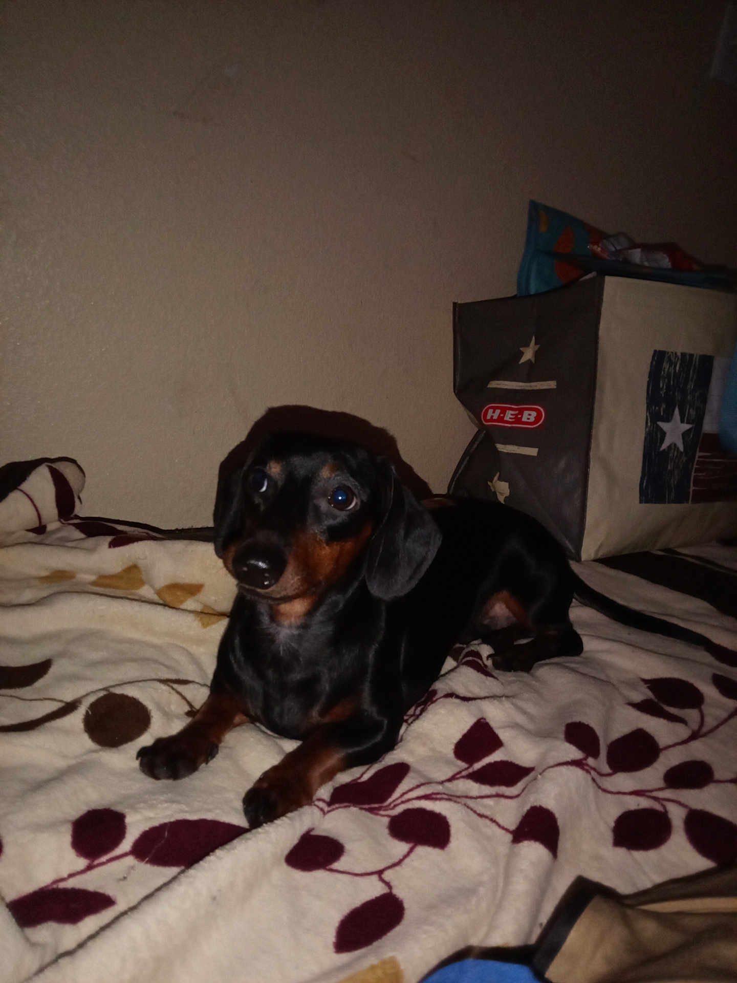 Buster