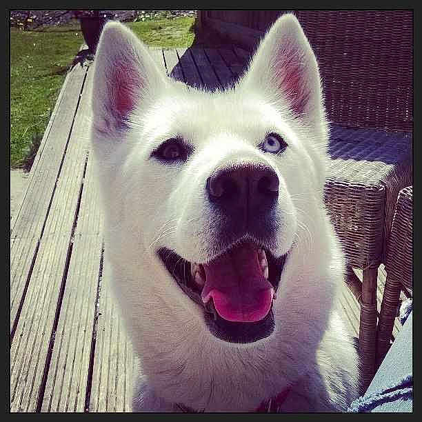 Alaska joined the competition — help win amazing prizes!