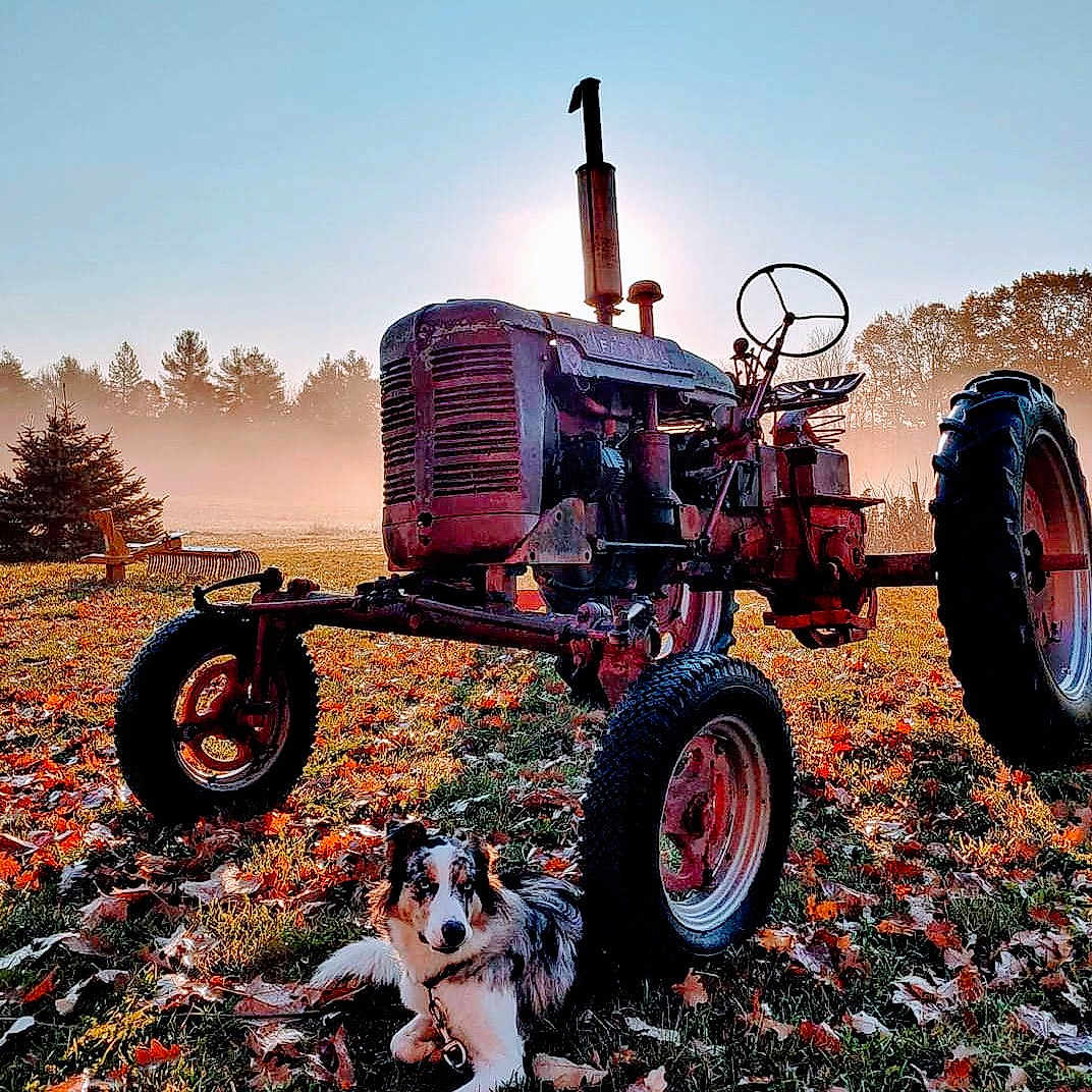 Iya joined the competition — help win amazing prizes! agricultural_machinery, agriculture, automotive_tire, automotive_wheel_system, fender, grass, grassland, landscape, motor_vehicle, natural_environment, nature, rolling, rural_area, sky, tire, tractor, tread, vehicle, wheel, wood