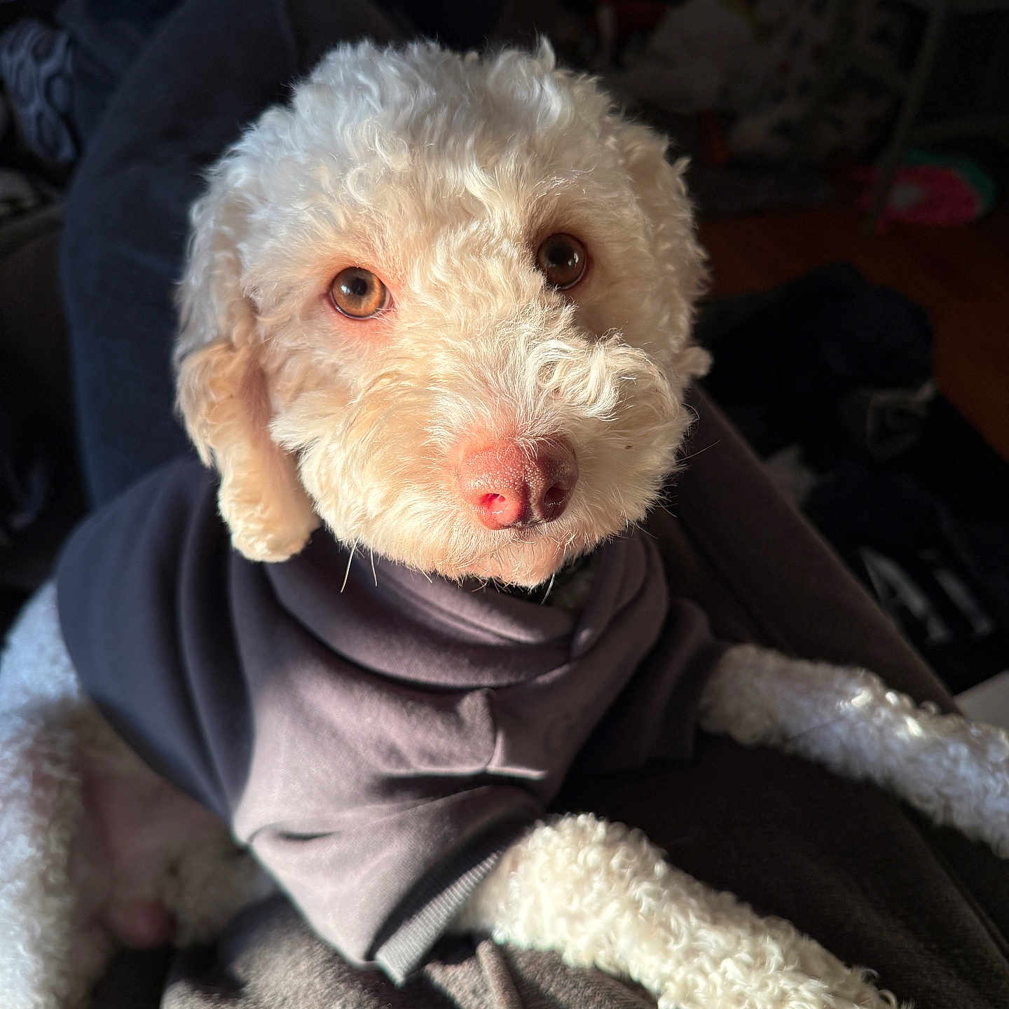 Milo