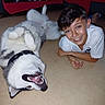 Guts a rejoint le concours — aidez-le/la à gagner de superbes lots ! bond, boy, casual_clothing, child, collar, dog, face, floor, friendship, fur, happy, human, husky, indoor, lying_down, paw, pet, playing, smile, teeth