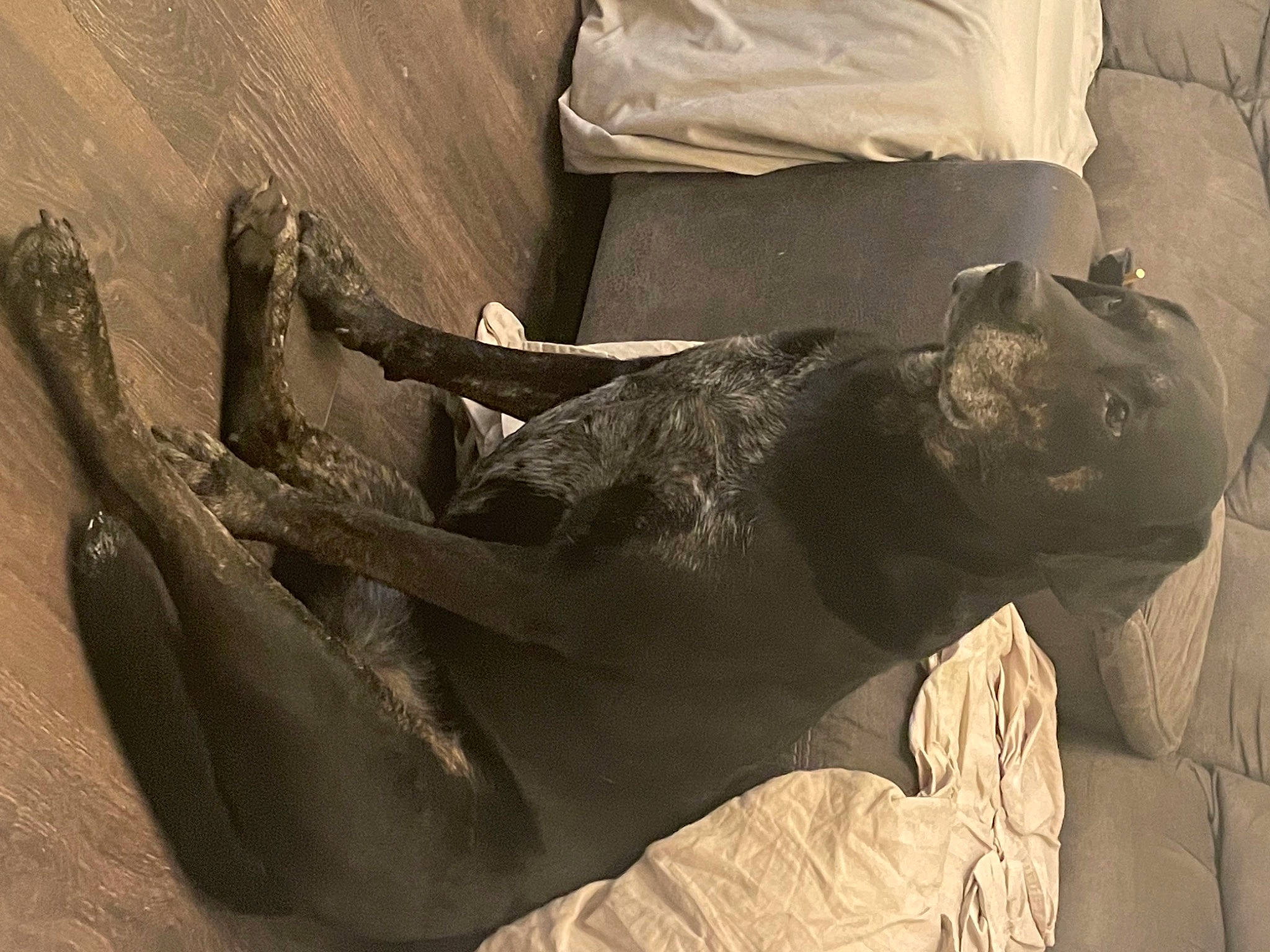 Ruford is registered to the contest to win money with this photo: art, artifact, carving, chair, comfort, elbow, gesture, grey, human_leg, metal, monochrome, monochrome_photography, sculpture, shadow, statue, still_life_photography, tints_and_shades, visual_arts, wood, wrist